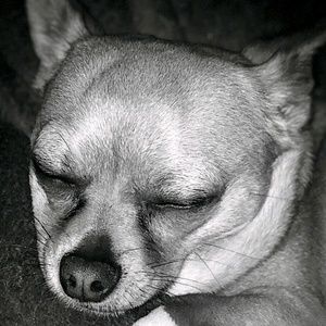 Meet your Posher, Kevin